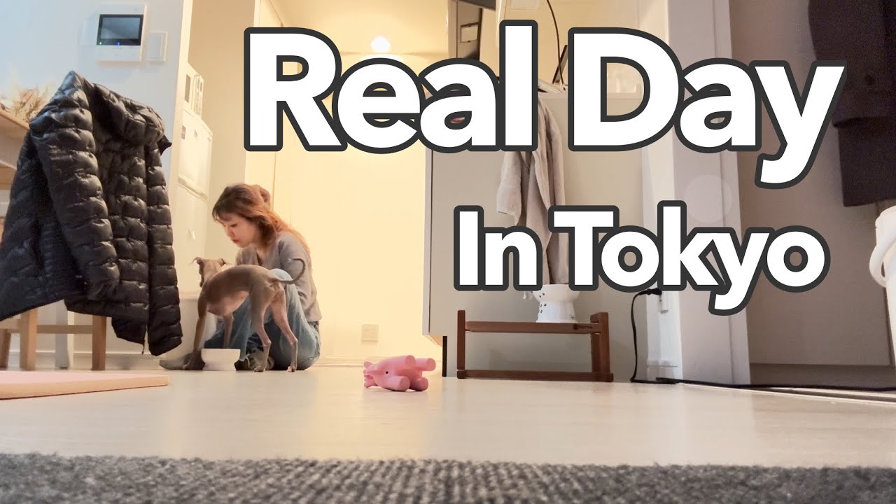 A Real Day in Tokyo 🇯🇵｜Japanese Wife, American Husband & Italian Greyhound Life