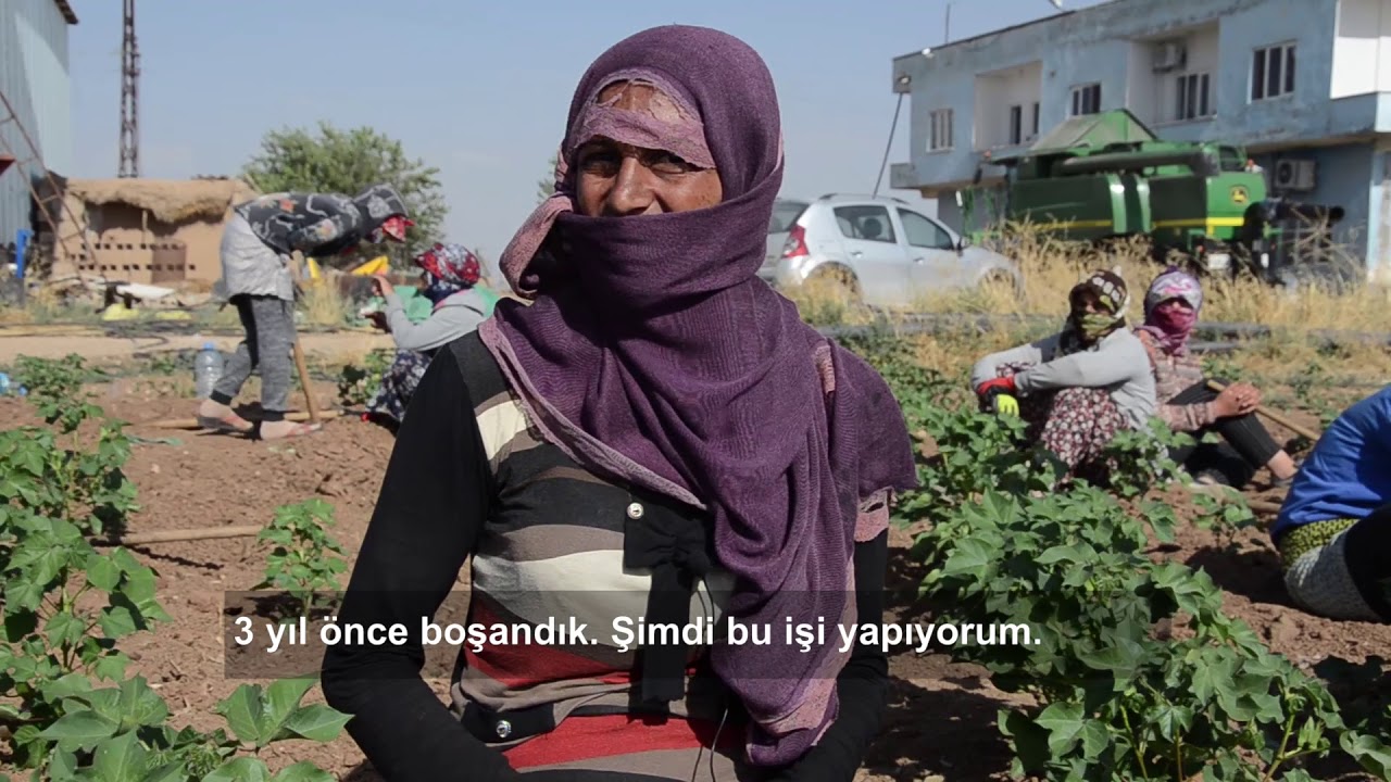 Tarım İşçisi Kadınların 40 Derece Sıcakta 10 Saatlik Mesaisi