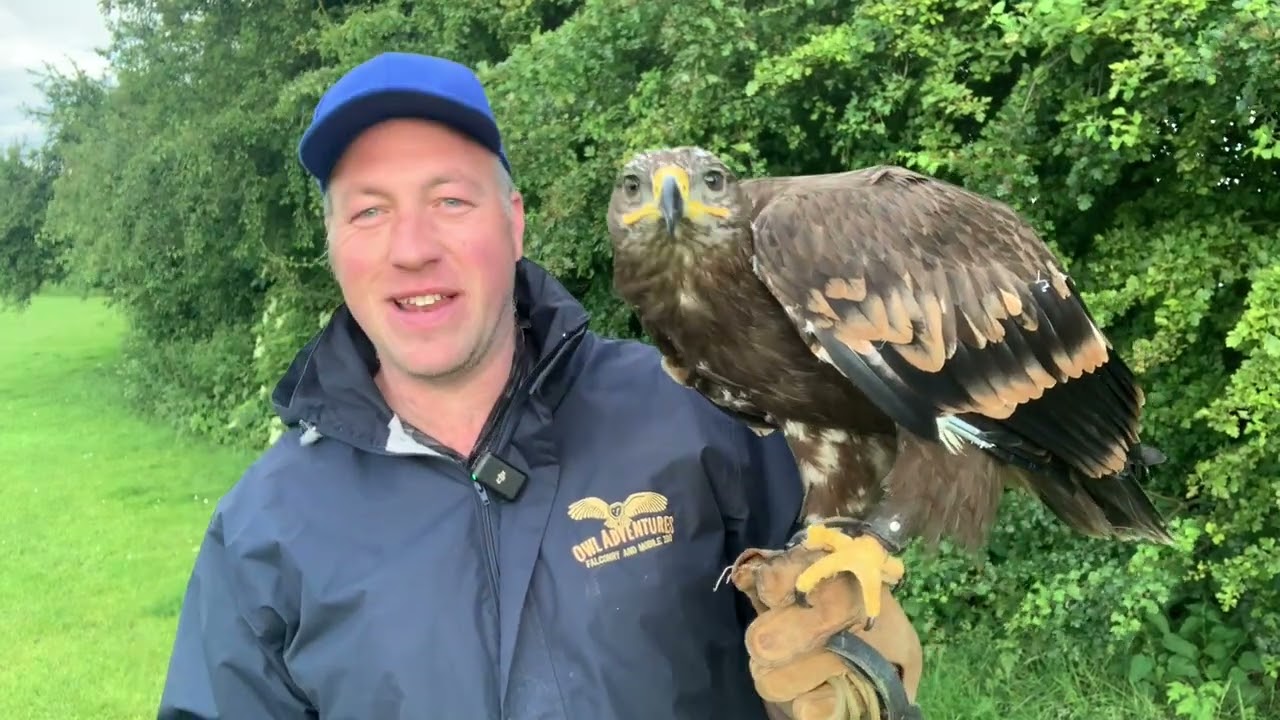 What is the first rule of falconry?
