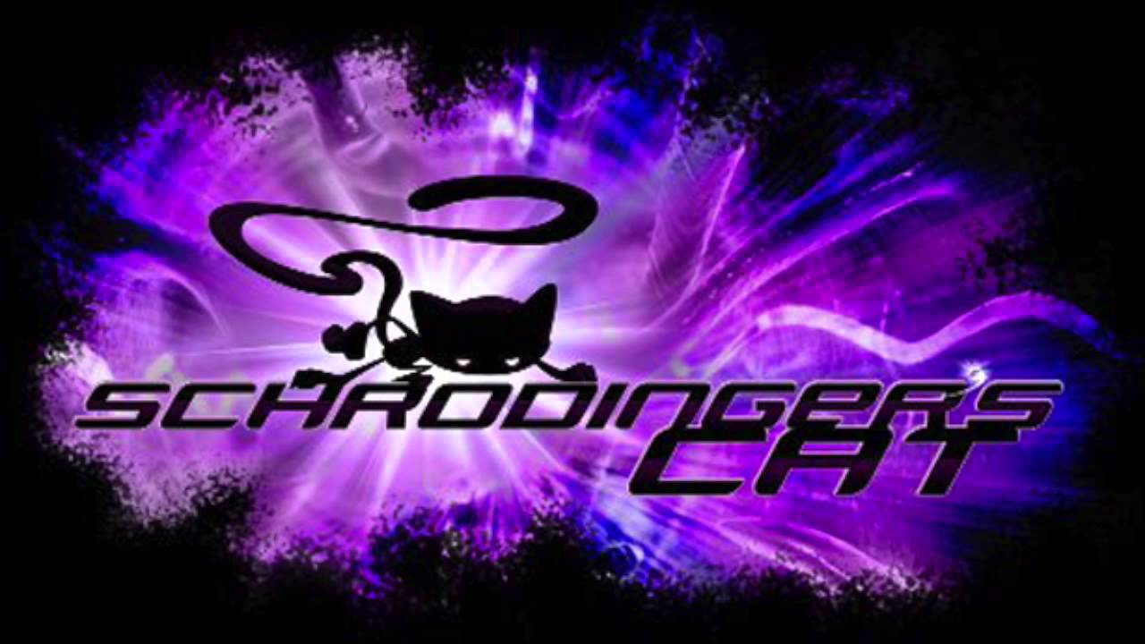 Shrodingers Cat - Creators Interview