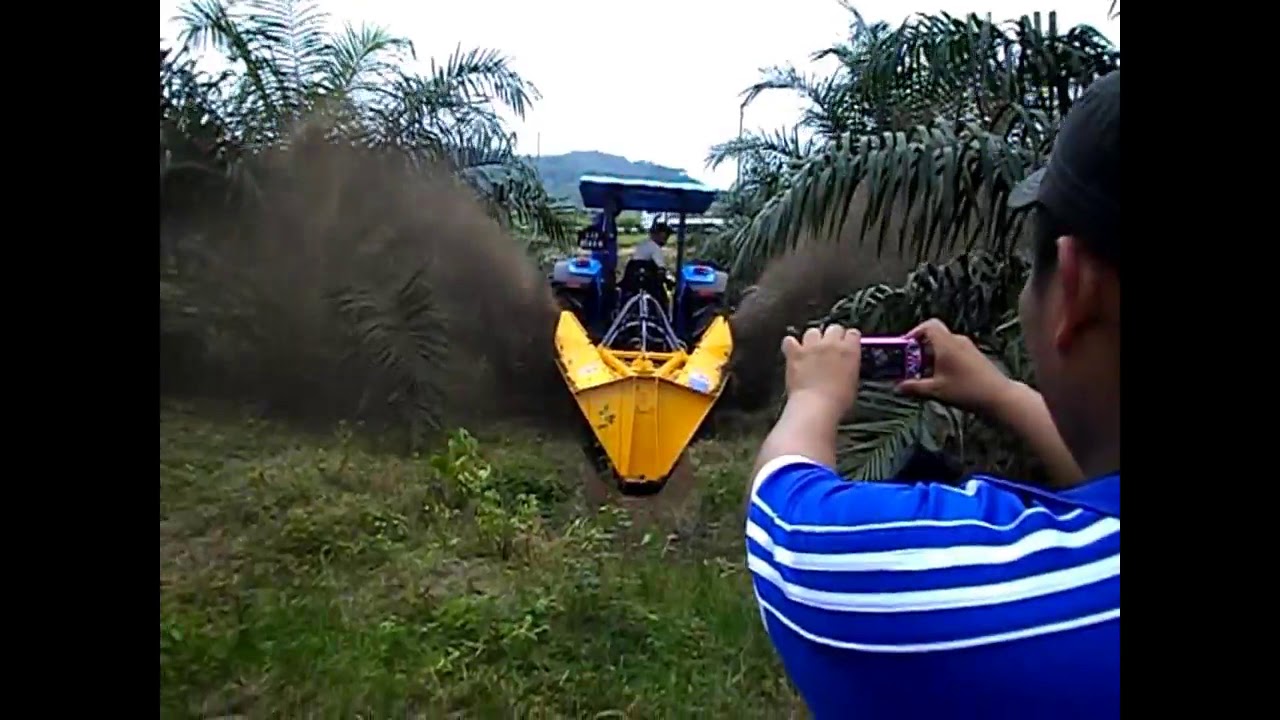Dondi Ditcher