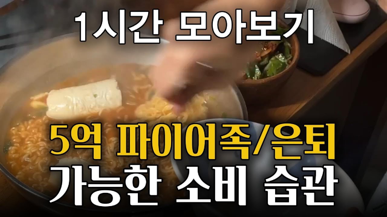 5억 파이어족/은퇴가 가능한 소비 습관