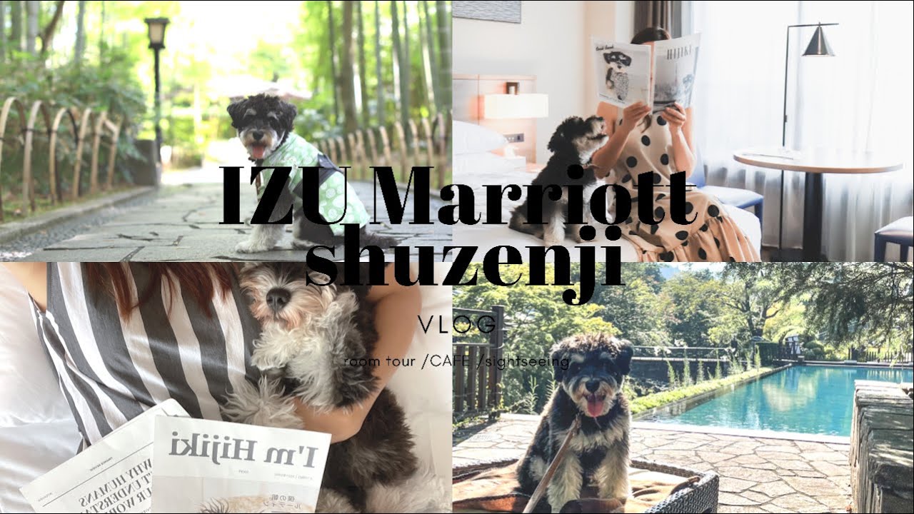 [Отель, где разрешено проживание с собаками] IZU MARRIOTT HOTEL SHUZENJI