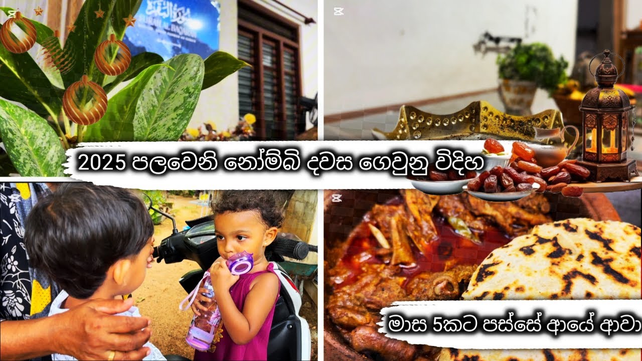 පලවෙනි නෝම්බි දවස ගෙවුනු විදිහ/ 5 කට පස්සේ ඔන්න ඔයාලාව බලන්න ආවා🤗