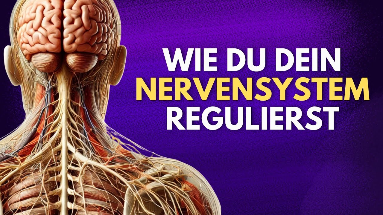 Wie du es schaffst, dein Nervensystem wieder bewusst zu regulieren.