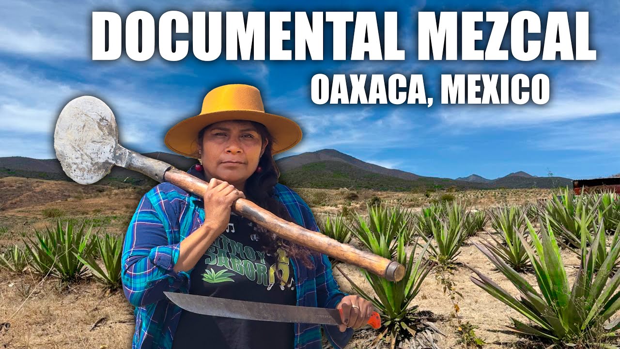 OAXACA Y SU MEZCAL ARTESANAL | Documental