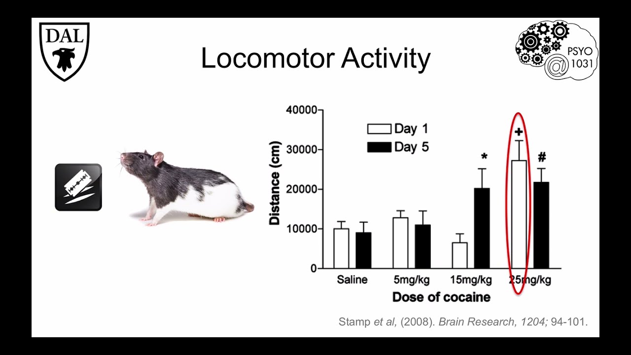 Tricky Topics: Measuring Behaviour