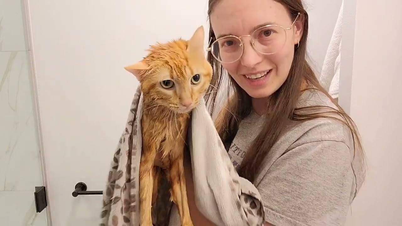 Butters the CH Kitten - Care Routine