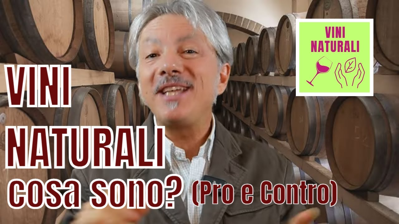 VINI NATURALI: COSA SONO? (Pro e Contro)