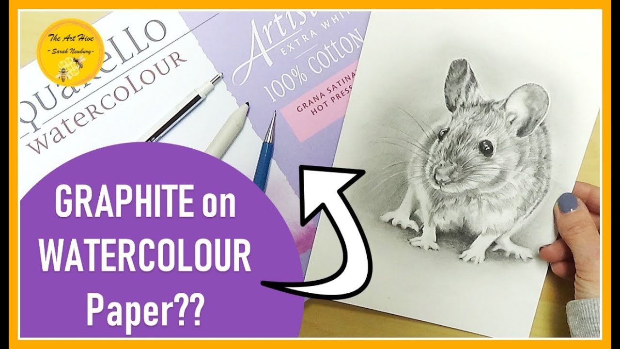 Drawing a REALISTIC MOUSE in GRAPHITE PENCIL on Fabriano Artisco HOT PRESSED WATERCOLOUR PAPER