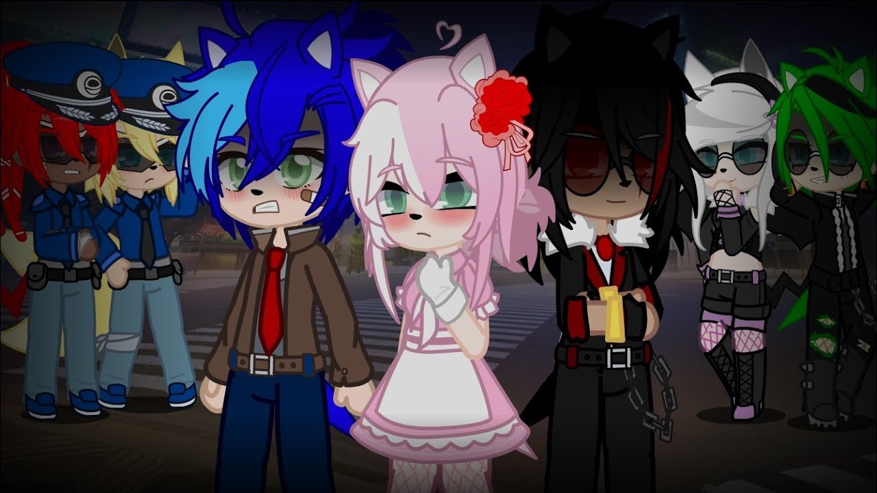 || In love with a Gang Leader || Shadamy Mini love story || Part 1/? || (My Sonic Au)