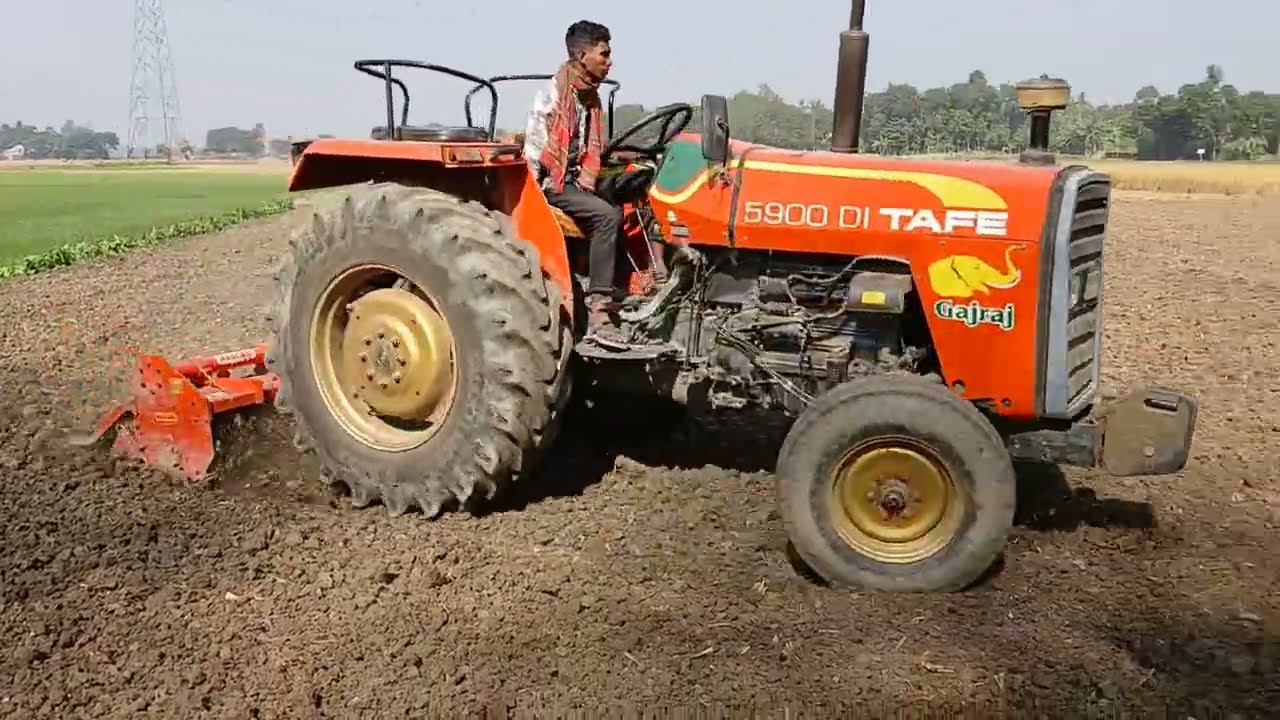 পেঁয়াজ লাগানোর আগে জমি যেভাবে চাষ করা হয়।
