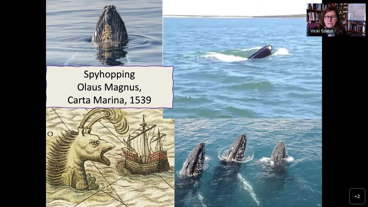 From the Cairns to Cata Sand: The History and Archaeology of North Atlantic Cetaceans.
