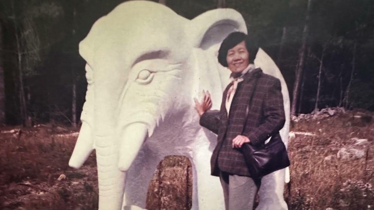 Part 2  of the Aunt Marie  story . The Chinese Jamaican 96 year old survivor  of the  2nd Sino War.