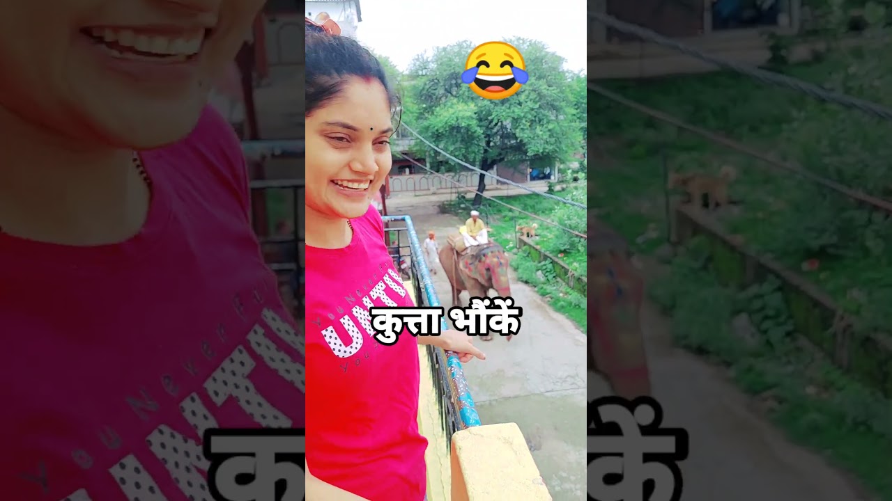 Hathi Chale Bazar Kutte Bhoke Hazar | Live | 😂 #hathi  #hathiraja #elephent