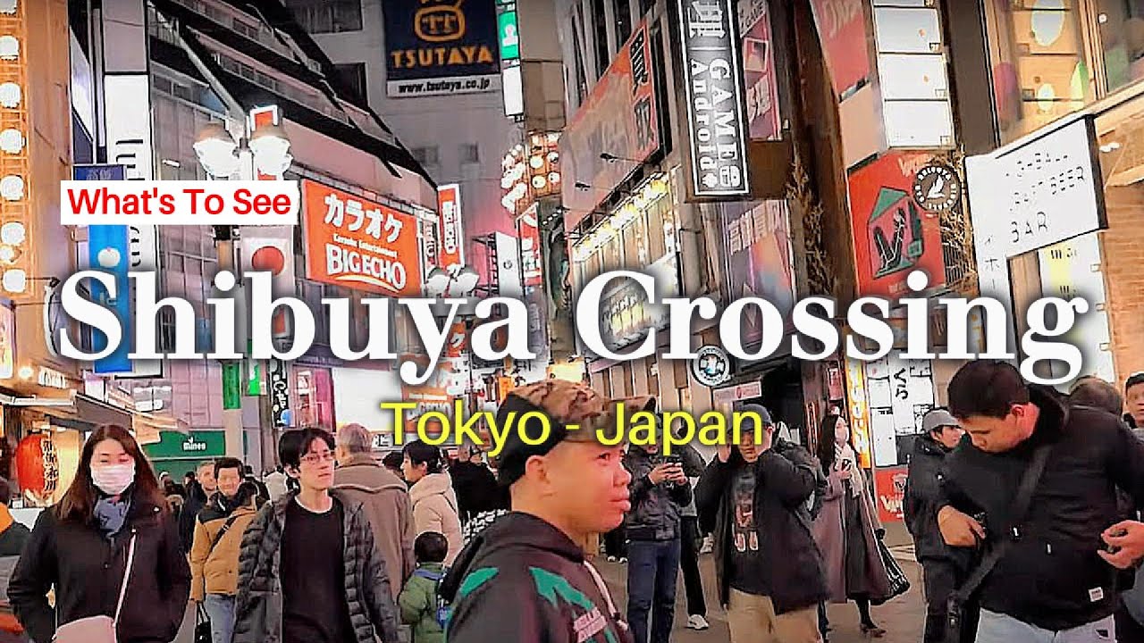 Lost in Shibuya, Lively Night at Shibuya