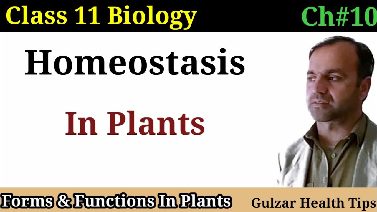 Homeostasis in plants | isotonic solution | hypotonic solution | hypertonic solution | class 11th.