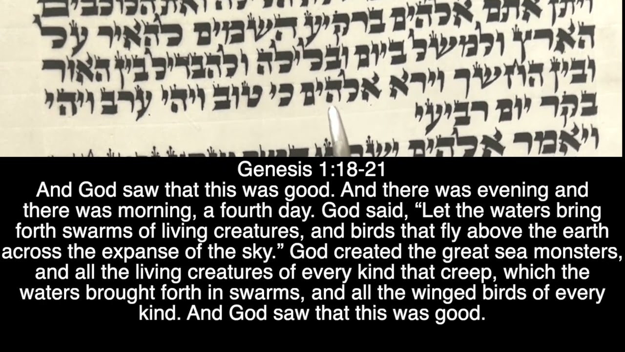 Parashat Bereshit First Chapter