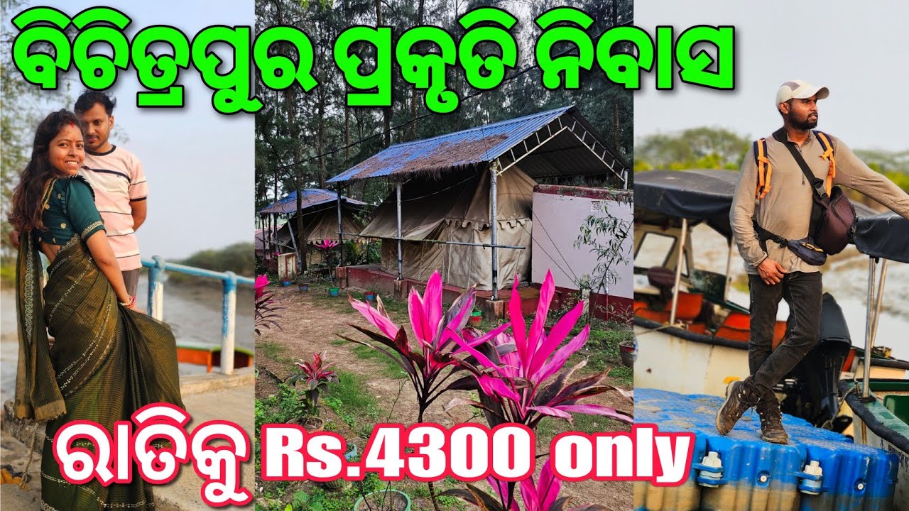 Bichitrapur Ecotourism | Nature Camp & Boating | Mangrove Forest |