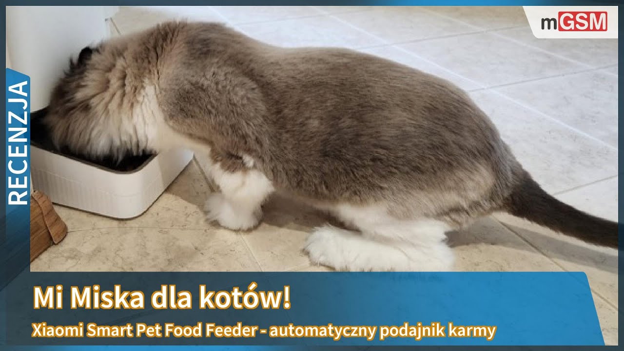 Xiaomi Smart Pet Food Feeder czyli Mi Miska dla kot&oacute;w