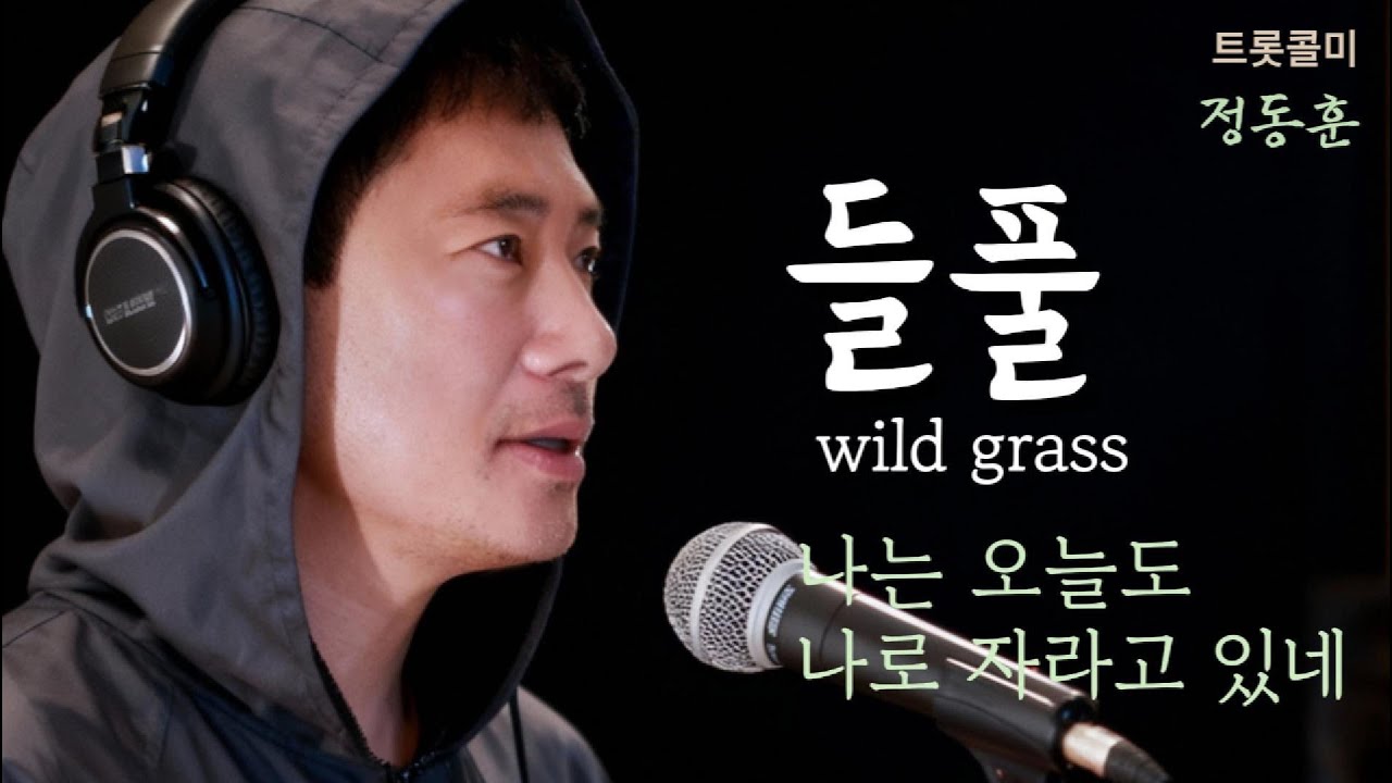 🎧  '정동훈'  나는 오늘도 나로 자라고 있네 &mdash; [들풀 ] Wild Grass