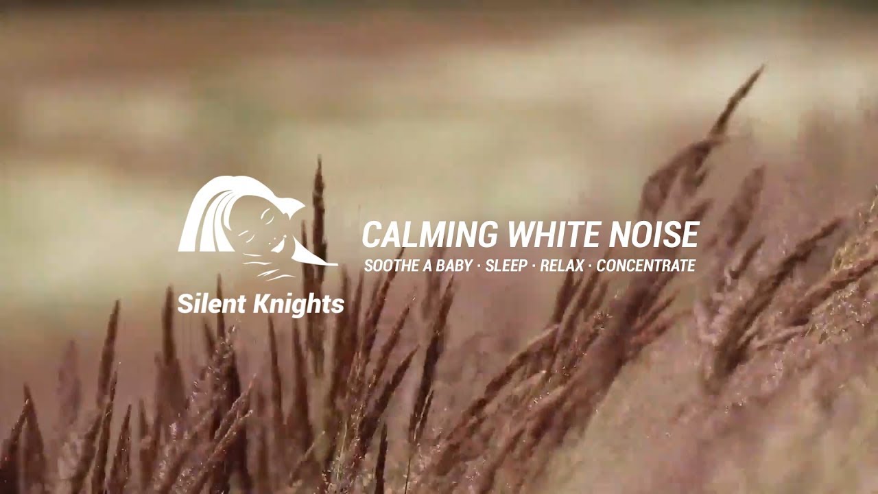 *RELAXING AUTUMN WHEAT FIELD SOUNDS* 3 Hours long!!