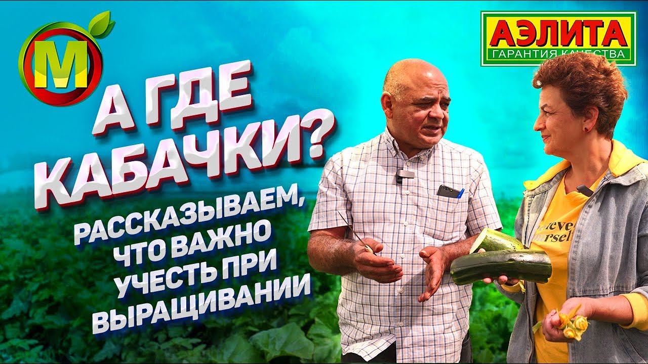 ПОЧЕМУ КАБАЧКИ НЕ РАСТУТ? Тонкости выращивания кабачков.