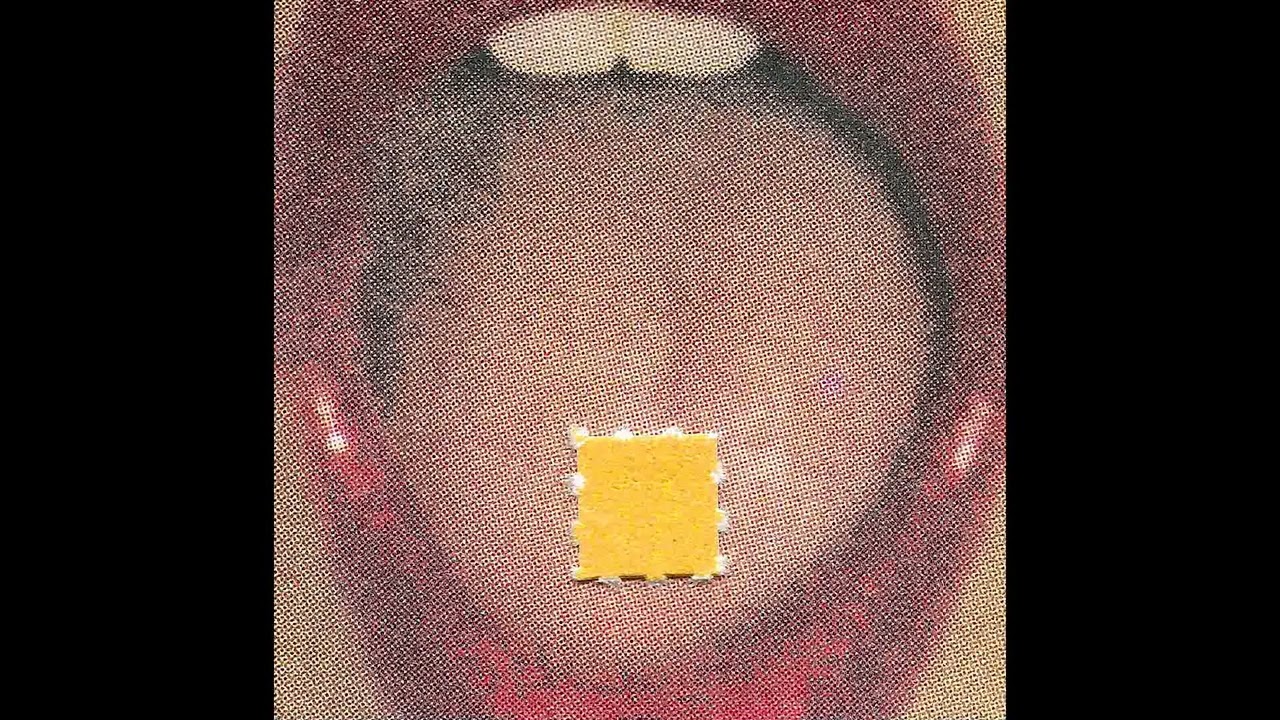 [FREE] SMINO X RAVYN LENAE X MONTE BOOKER TYPE BEAT | ABC