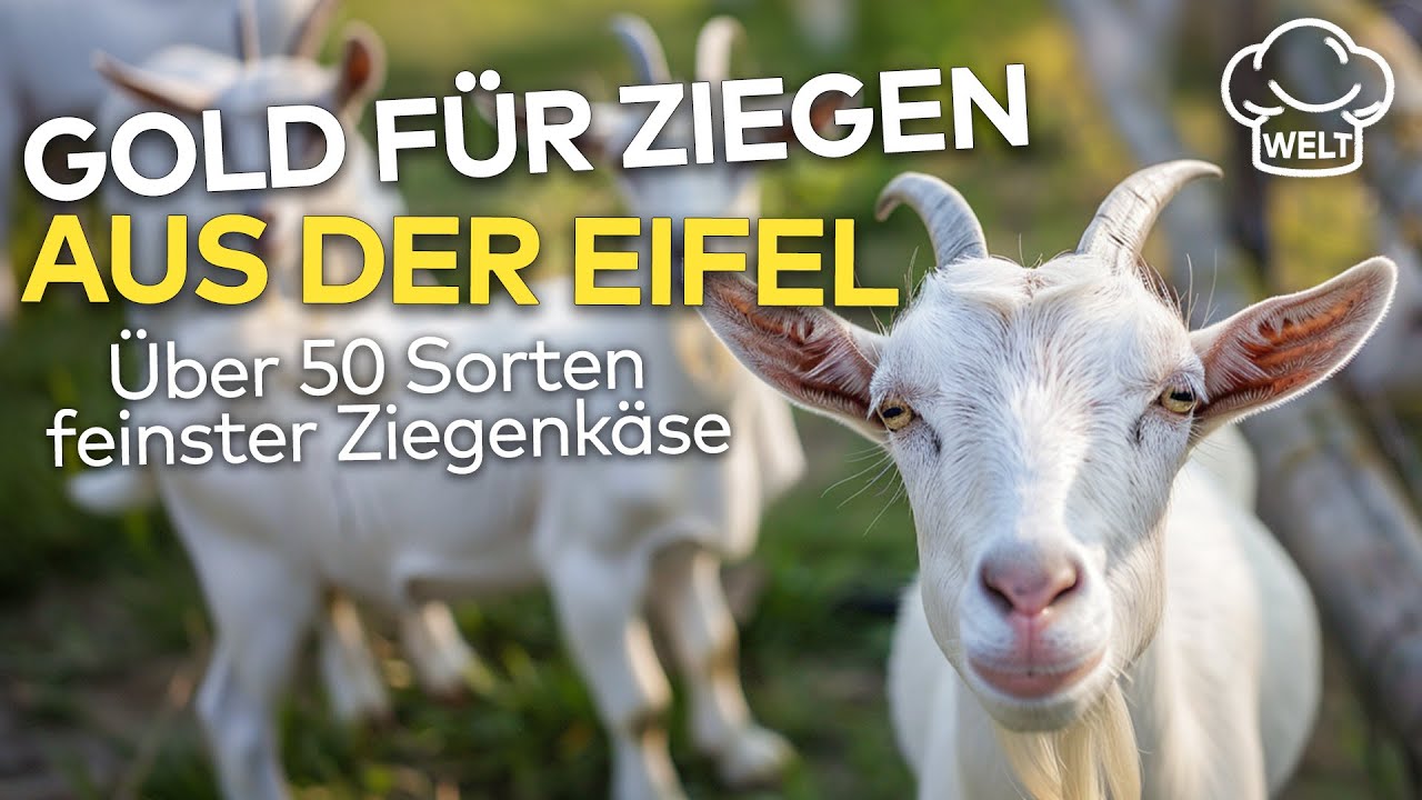 PREISGEKRÖNTE ZIEGEN! 🐐 Eifeler Käsekunst schlägt Supermarktware | FOOD MAGAZIN