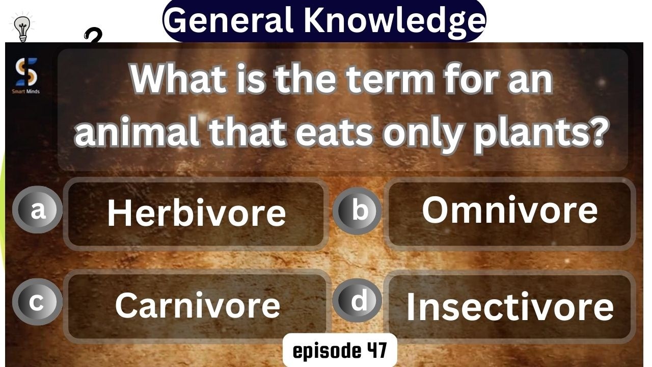 Can You Beat This Timed General Knowledge Quiz ⏱️