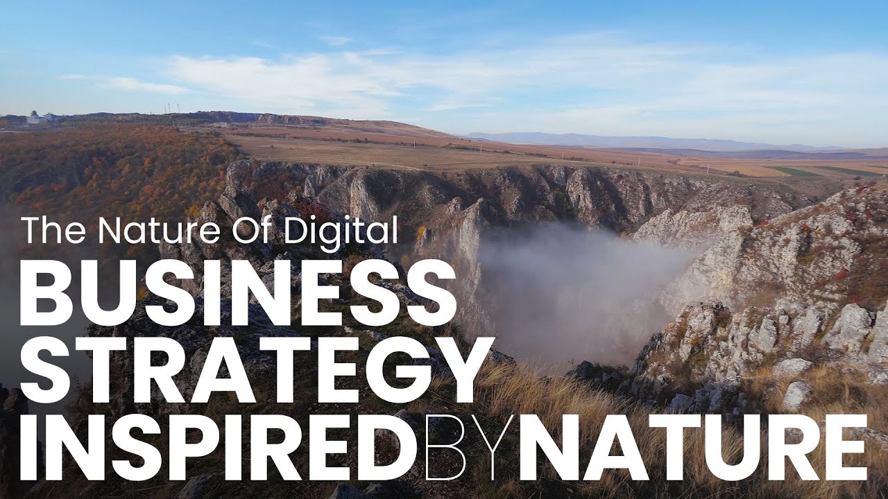 How Does A Digital Transformation Strategy Resemble Natural Ecosystems?