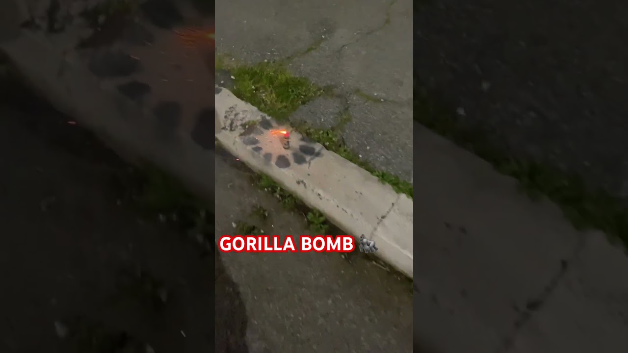 GORILLA BOMB 🦍 #fireworks #pyrotechnica #pyro #pyroisnocrime