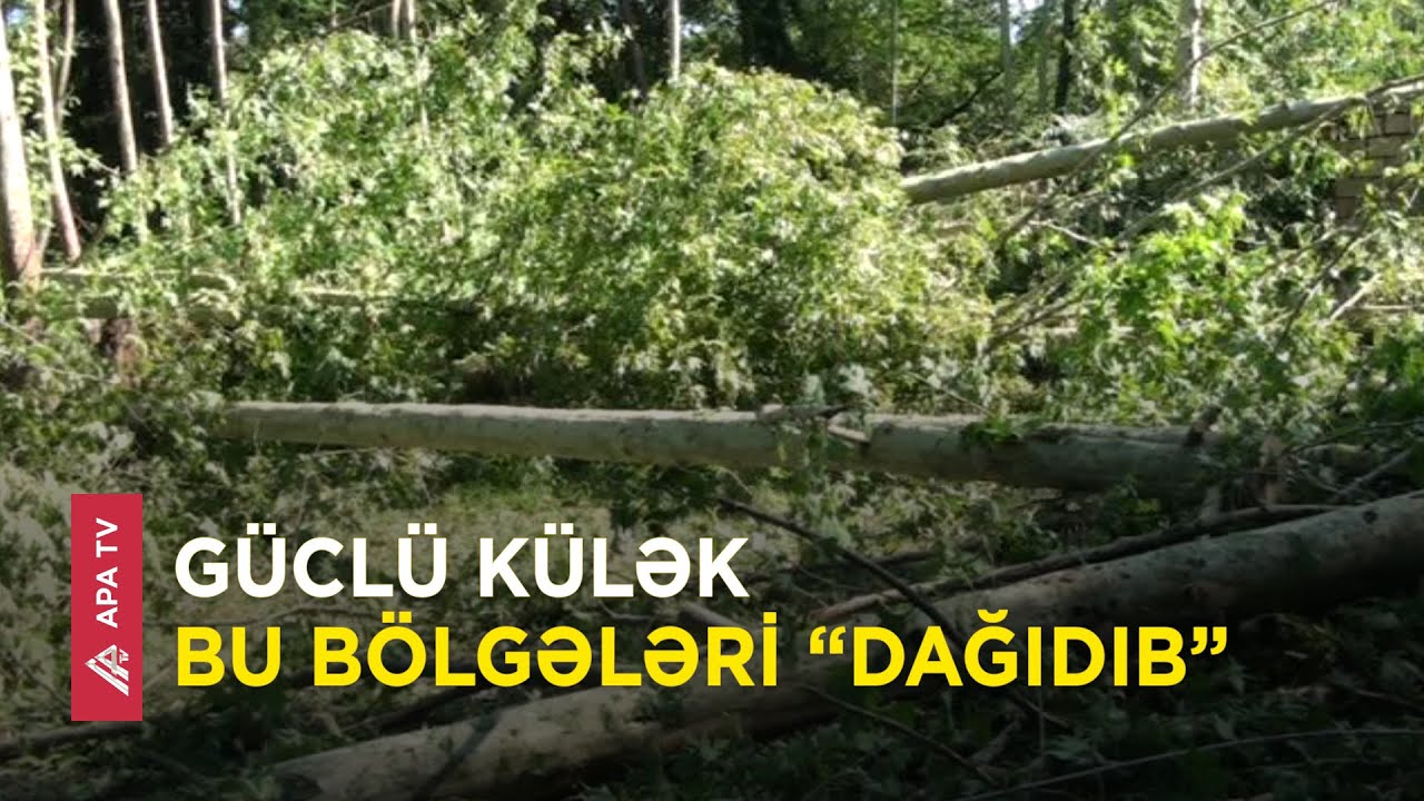 Şimal-qərb bölgəsi ötən gecə güclü külək və dolunun əsirinə çevrilib - APA