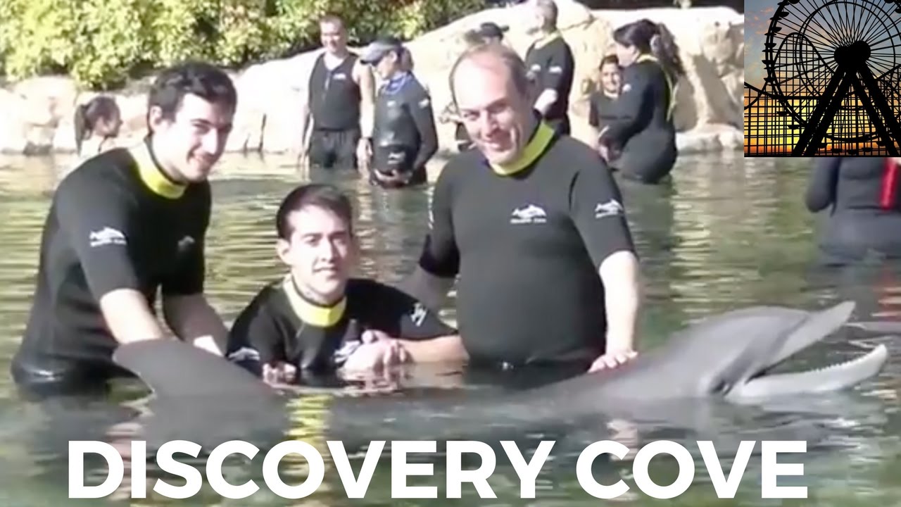 DISCOVERY COVE |  NADAR CON DELFINES