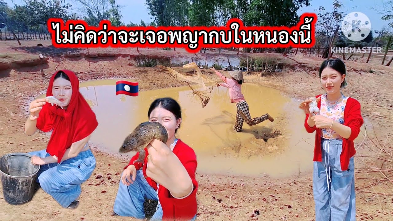 #สาวแววเจอพญากบมีทองคำแบบไม่คาดคิด😲😲#หว่านแหตึกปลา#วิถีชาวบ้าน #สาวลาว 🇱🇦 22 กุมภาพันธ์ ค.ศ. 2026