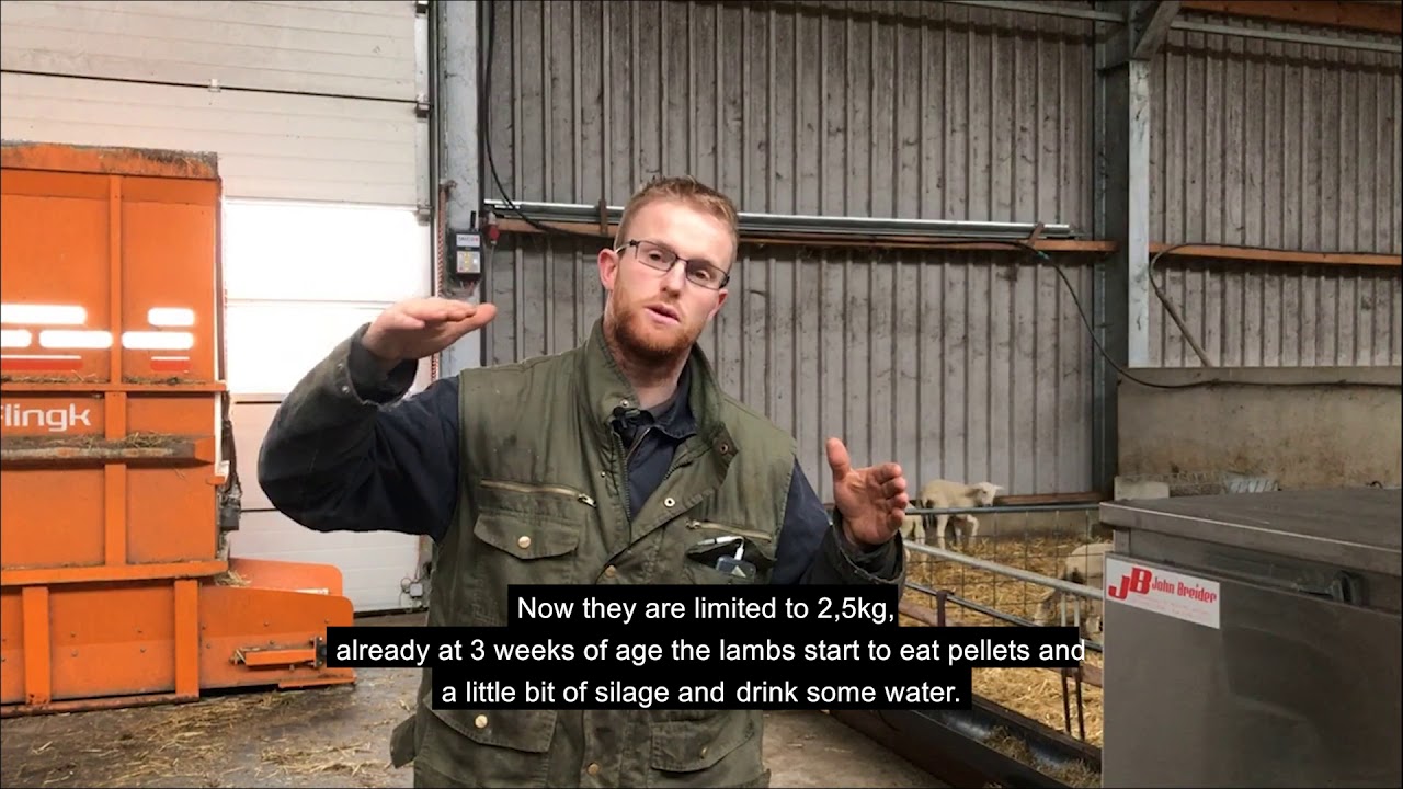 Urban Barn tour -  Alma Pro L - automatic lamb feeder for goats and sheep lambs