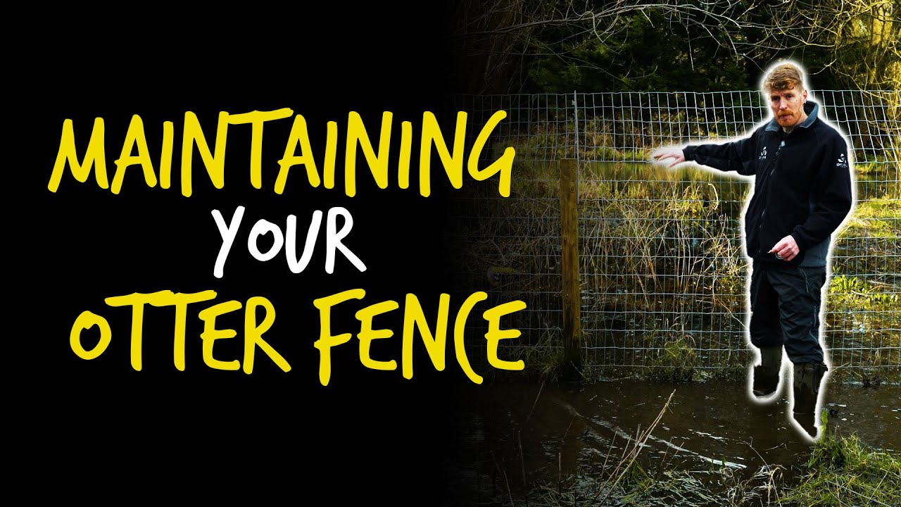 MAINTAINING your OTTER FENCE