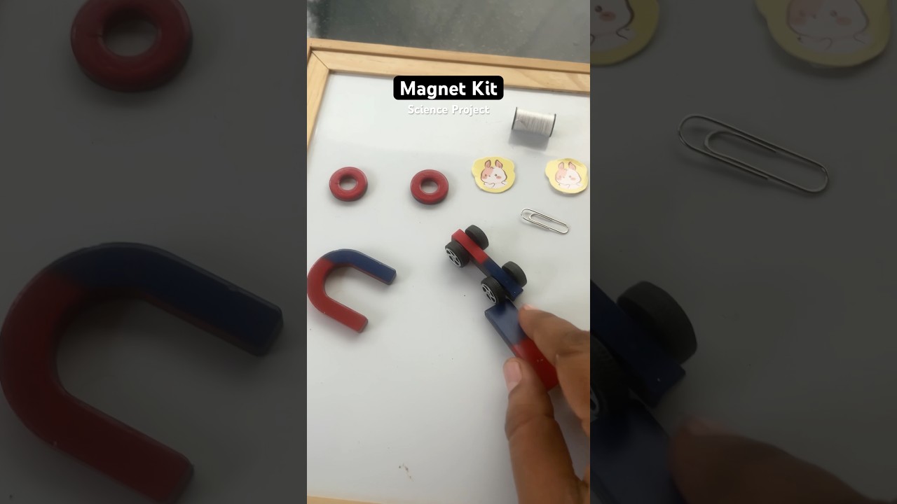 Magnet Kit for Science Project#magnet #magnetic #magnetpower #magnettoys #science #toys
