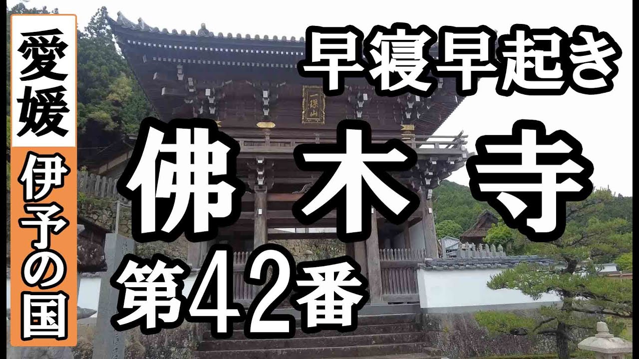 龍光寺➡佛木寺ドライブお参り【第42番札所 四国八十八ヶ所巡礼】5/8日通しお遍路車モデルコース