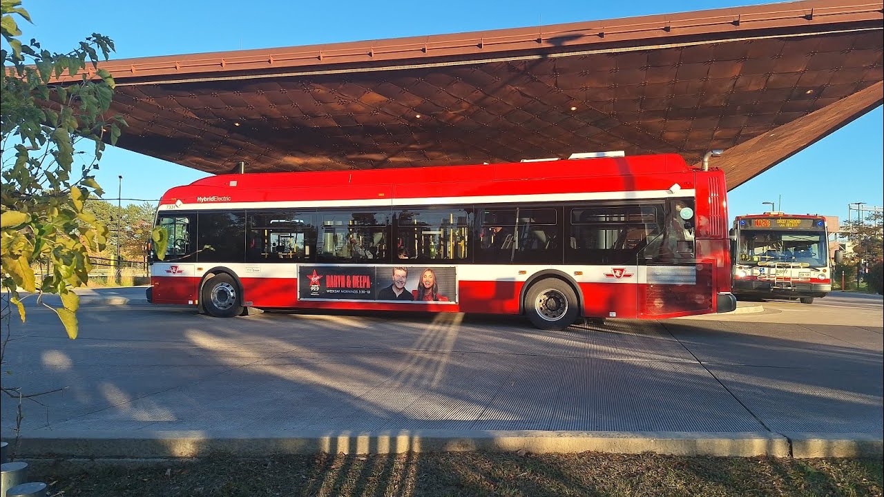 TTC Bus Action at Pioneer Station at York University along Line 1 Subway in Toronto