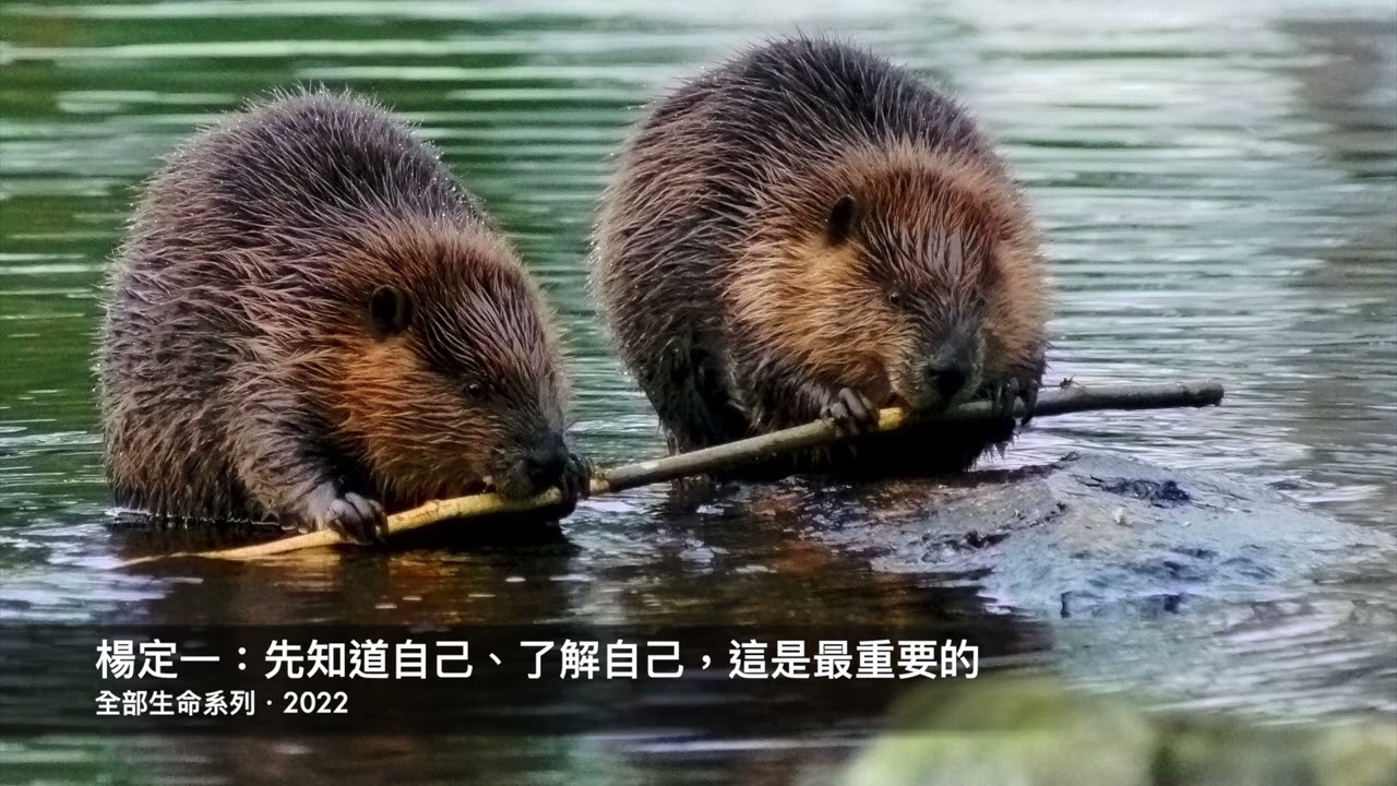 楊定一：先知道自己、了解自己，這是最重要的
