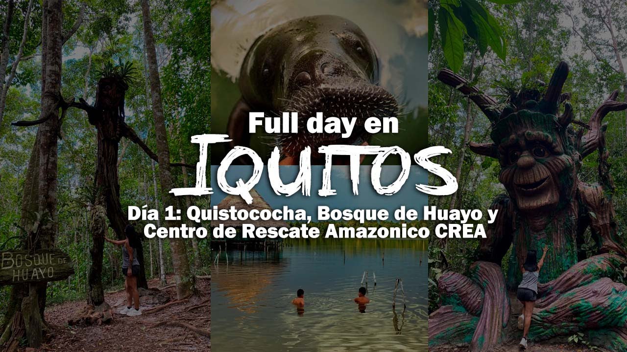 Full day en IQUITOS: ZOOLÓGICO QUISTOCOCHA y CENTRO DE RESCATE AMAZÓNICO CREA (sin tour)