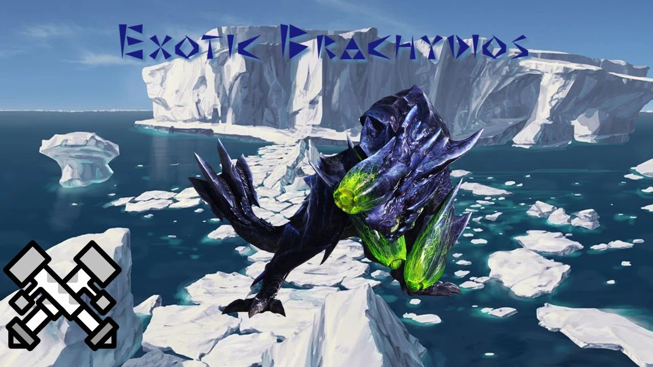 Day 2 of hunting a random monster until MHWilds comes out - Exotic Brachydios