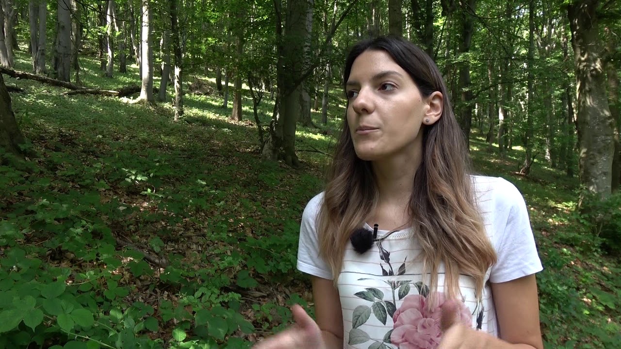 Kosmaj   nasledje i priroda HD