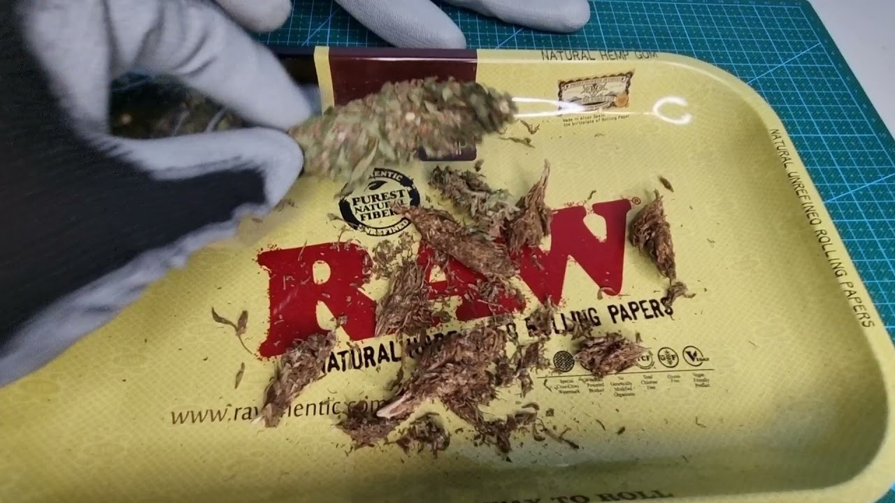Thailand's Local Landrace Review