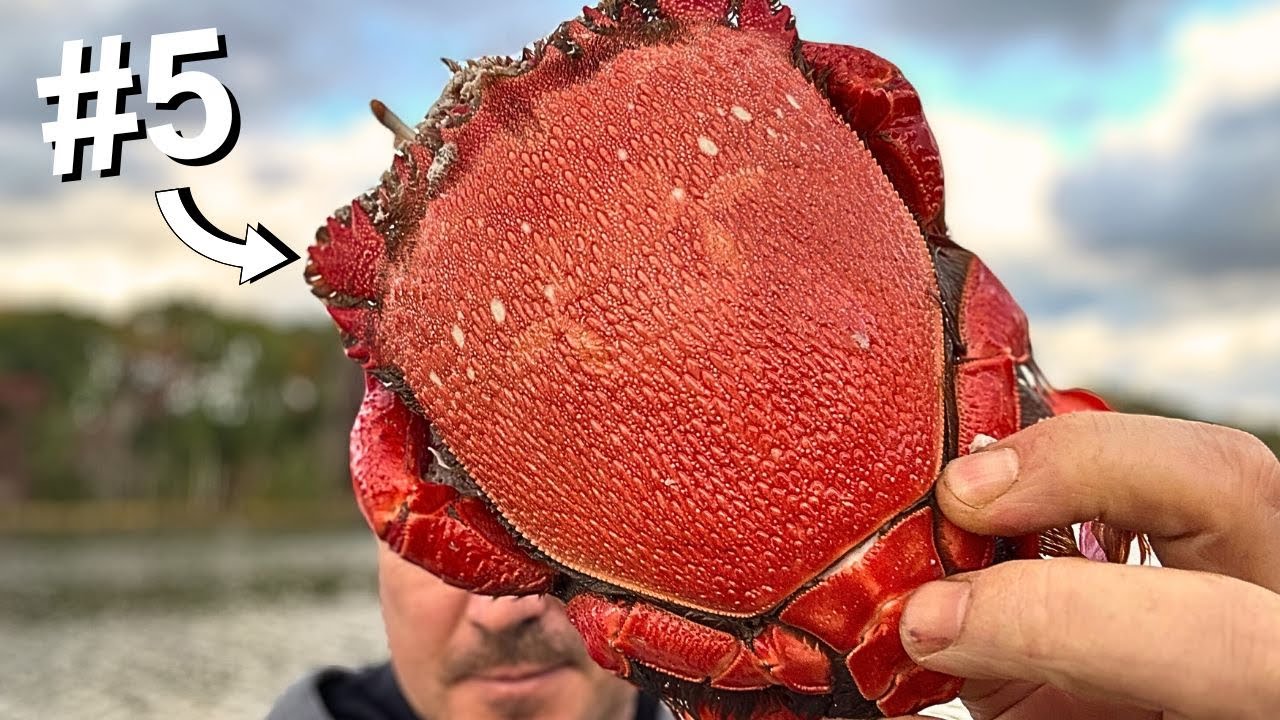 The BEST Seafood of 2024