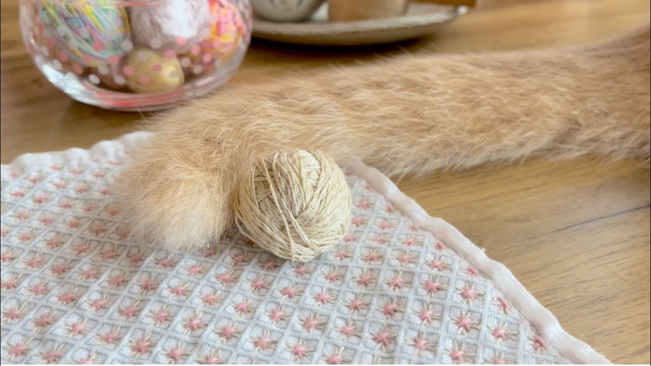 【#15田舎暮らし手芸vlog】圧巻！わらべすくの刺し子/クロスステッチ/sashiko/embroidery