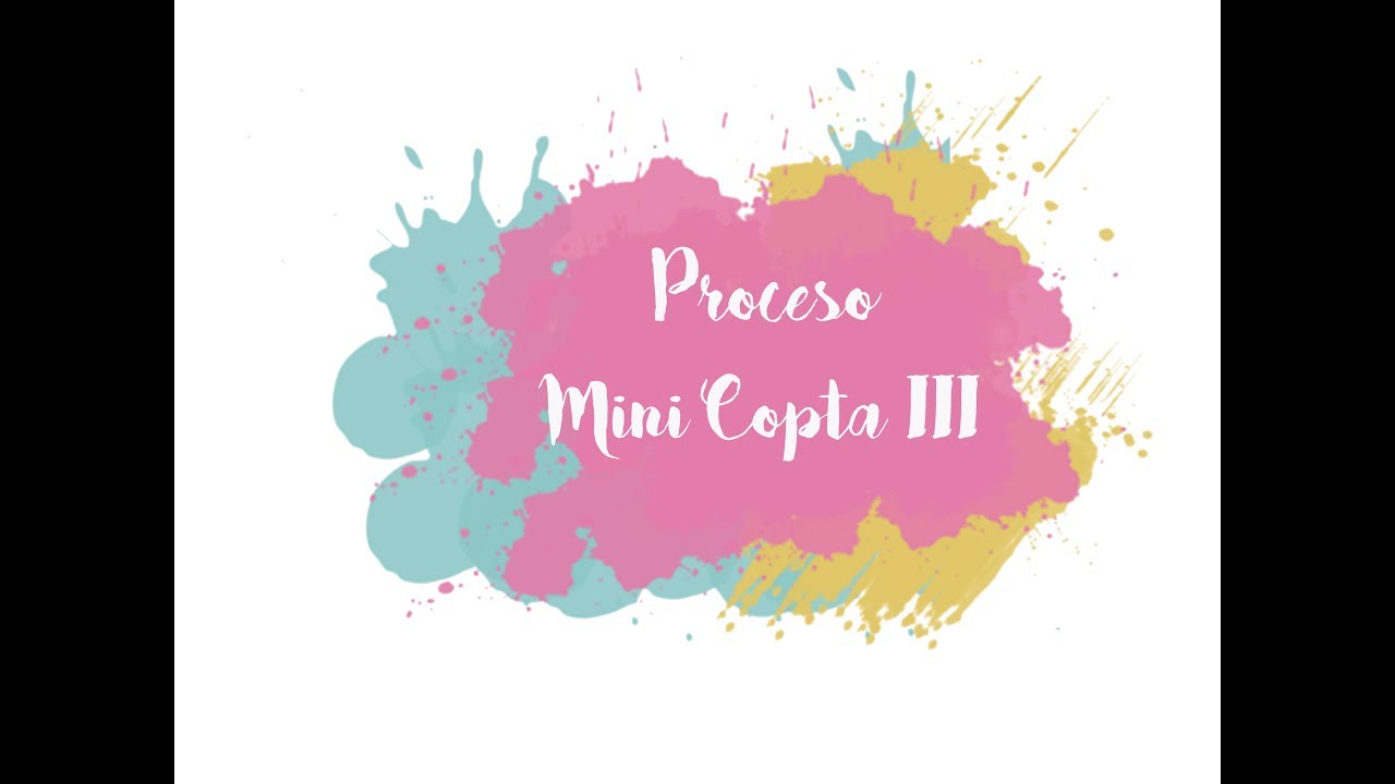 Priceso de Mini Copta III