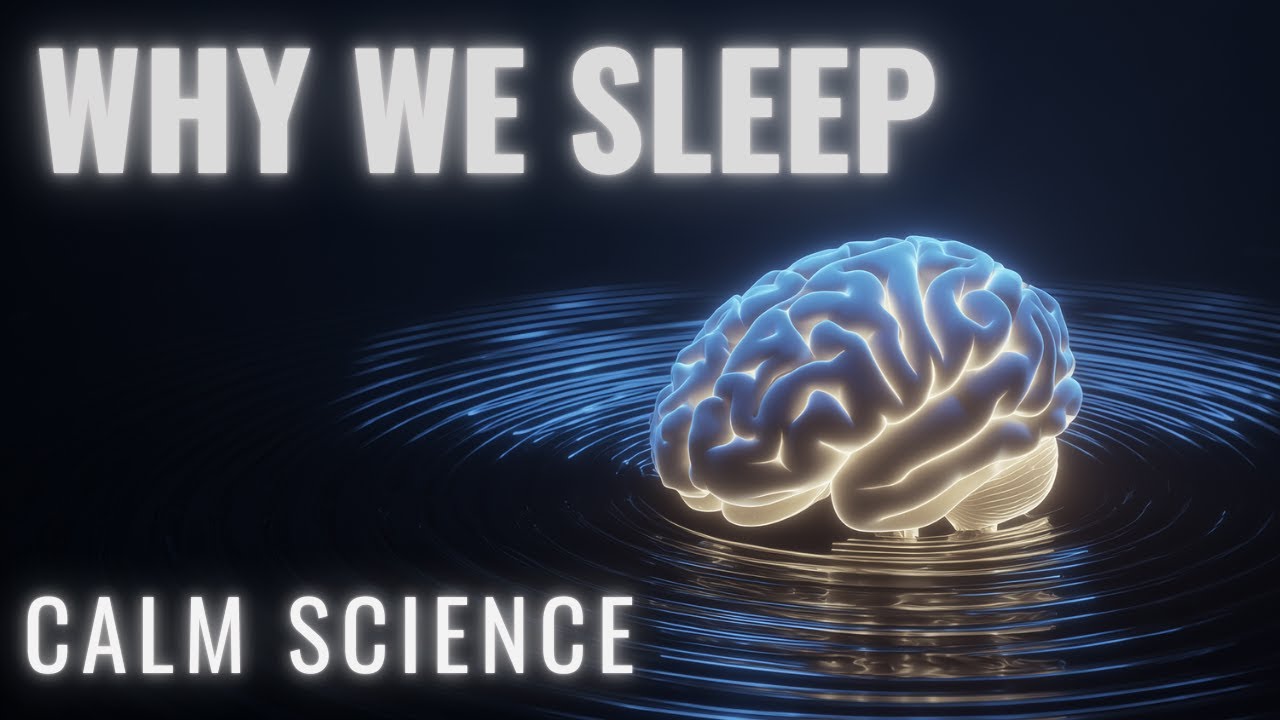 Fall Asleep Listening to Why We Sleep