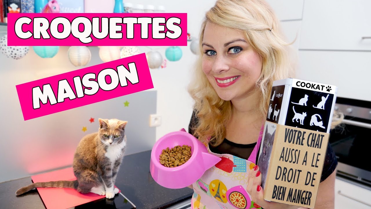 JE TESTE LES CROQUETTES MAISON POUR CHAT [Recette Cookat] ♡ VIRGINIE FAIT SA CUISINE